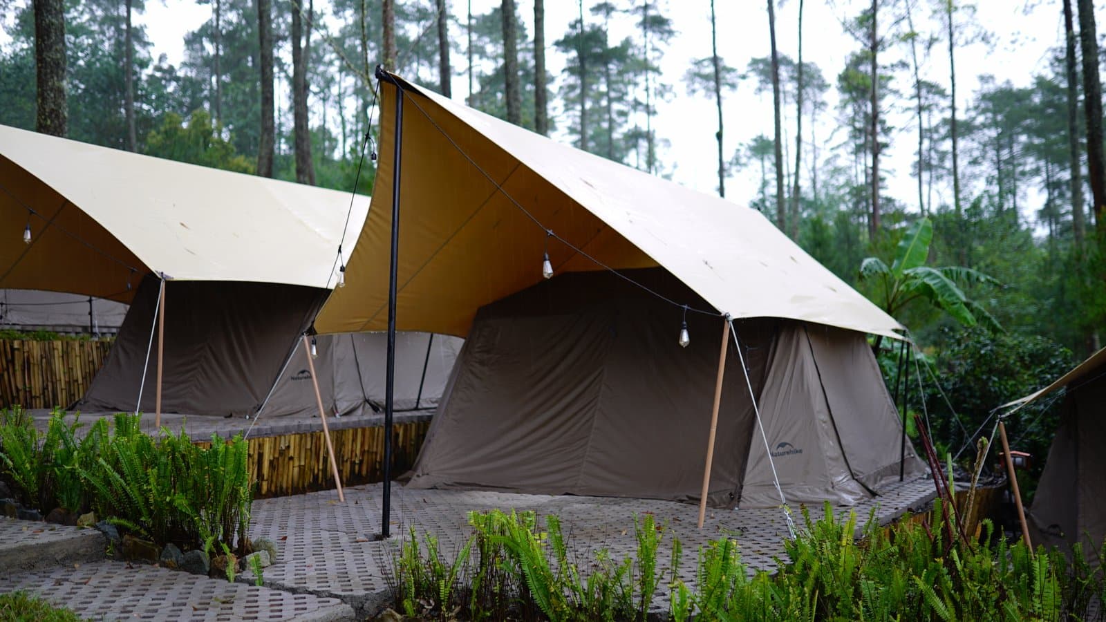 Camp Senja 3